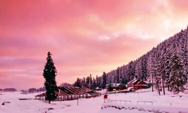 Exotic kashmir with Gulmarg Saty 6 Nights/7 days