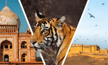 Golden  Triangle with Ranthamnore 7 Nights/ 8 Days