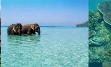 Wow Andaman