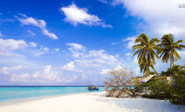 Amazing Andaman