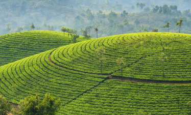 Enchanting Kerala – 6 D / 5 N