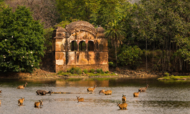 Jaipur With Ranthambore-Ex Jaipur – 5 D / 4 N
