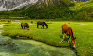 Incredible Kashmir – 7 D / 6 N