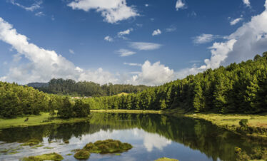 Bengaluru-Mysore-Ooty-Kodaikanal – 6 D / 5 N