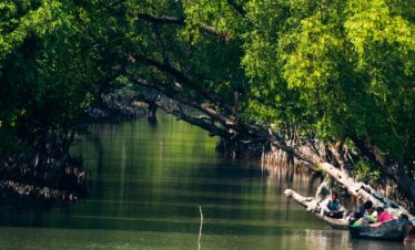 Sundarbans Wildlife Expedition:Explore the Mangrove Kingdom- 4N & 5D