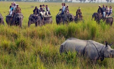 Northeast Wilderness Escape : Kaziranga & Majuli – 5N & 6D
